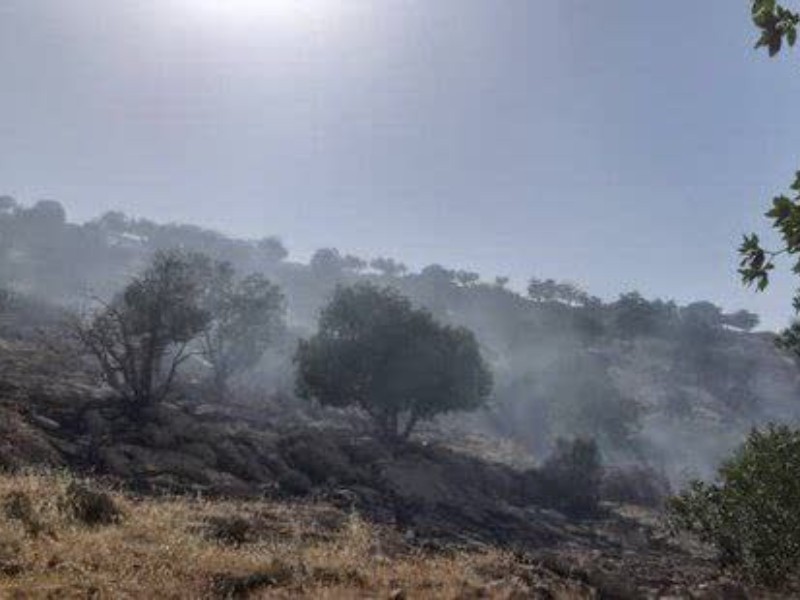 آتش‌سوزی جنگل‌های ایوان مهار شد