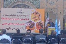 سالانه ۱۵۰۰ تن عسل در ایلام تولید می‌شود