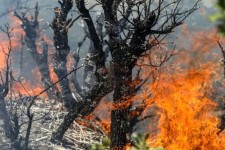 قانون‌گریزان در تخریب منابع طبیعی مجازات می‌شوند