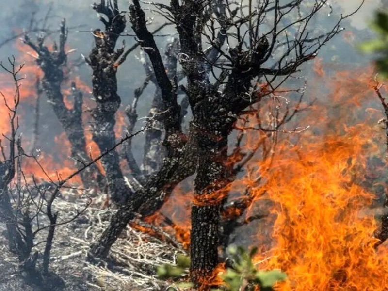 قانون‌گریزان در تخریب منابع طبیعی مجازات می‌شوند