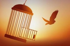 آزادی ۶۷ زندانی جرائم غیرعمد در ایلام