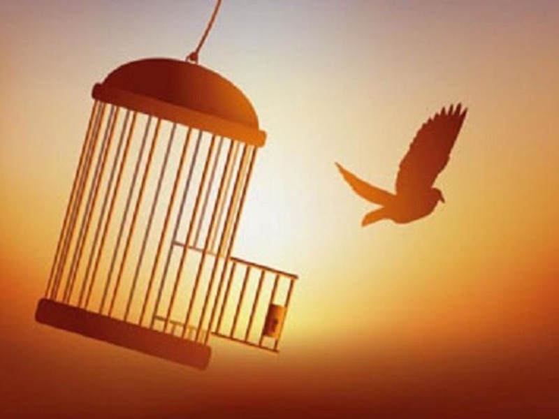 آزادی ۶۷ زندانی جرائم غیرعمد در ایلام