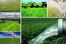 توسعه کشاورزی هوشمند در ایلام