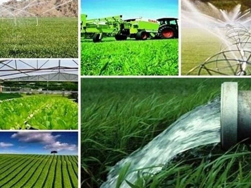 توسعه کشاورزی هوشمند در ایلام