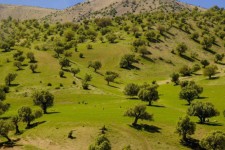 ۹۰ درصد اقدامات منابع طبیعی نیازمند مشارکت مردم است