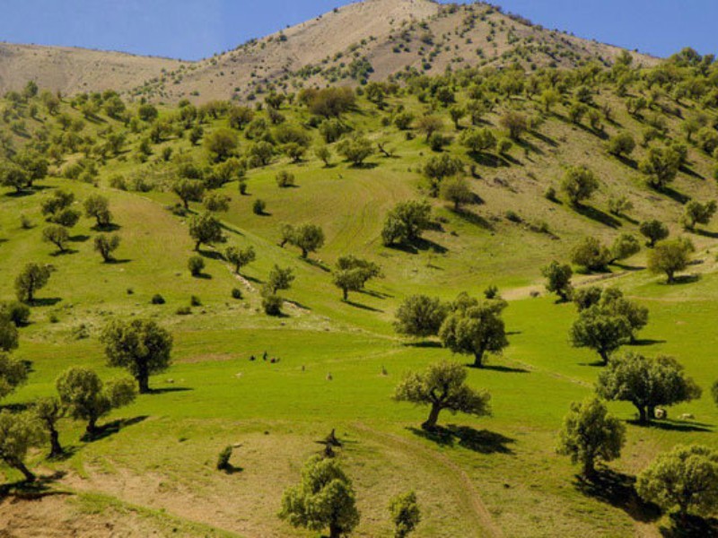 ۹۰ درصد اقدامات منابع طبیعی نیازمند مشارکت مردم است