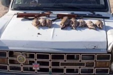 ۳ شکارچی غیرمجاز پرندگان در دهلران دستگیر شد