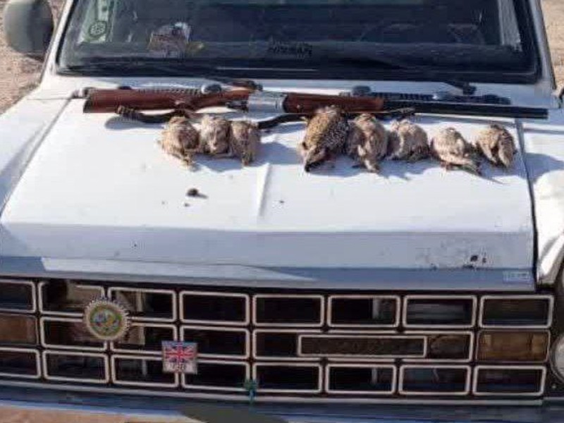 ۳ شکارچی غیرمجاز پرندگان در دهلران دستگیر شد