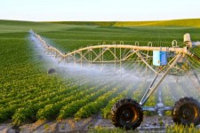 کشاورزی نوین، اقتصاد بدره را به رونق می‌رساند