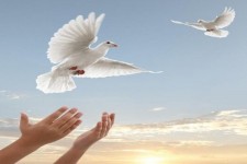 بازگشت ۹ زندانی ایلامی به آغوش خانواده