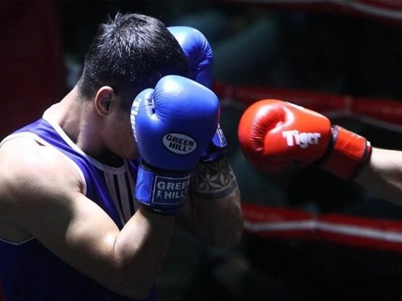 درخشش بوکسورهای ایوان در المپیاد نونهالان ایلام