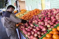 افتتاح میدان میوه ایلام در راه است