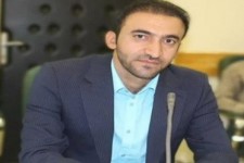 زنبور گال‌زای تهدیدی جدی برای درختان زاگرس است