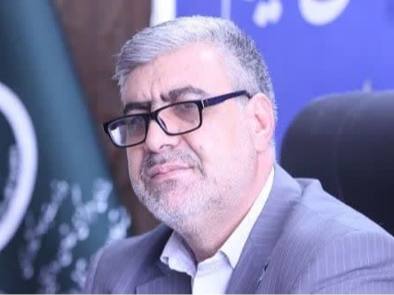 انجام کشت قراردادی ذرت علوفه‌ای در ۱۴۰۰ هکتار ایلام