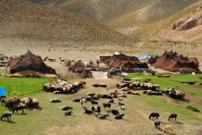 اعتبارات عمرانی باید متناسب با جمعیت عشایر باشد