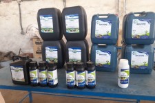 جوانه‌ای از آینده در خاک شهرستان سیروان