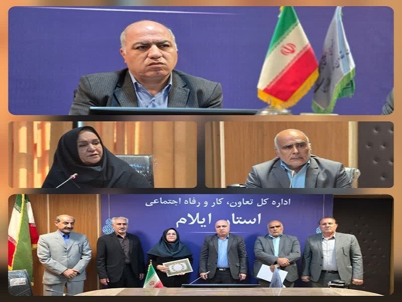 سرپرست معاونت اجتماعی اداره کار ایلام منصوب شد