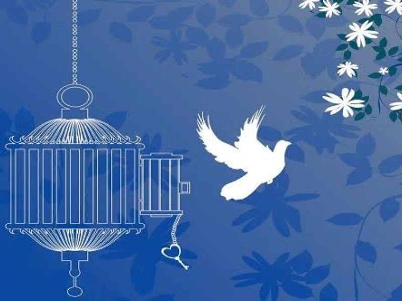 نیکوکار ایلامی ۳ زندانی آزاد کرد