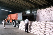 ۱۸ هزار تن کود شیمیایی در ایلام توزیع شد