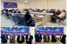 سرپرست شبکه بهداشت و درمان ملکشاهی منصوب شد