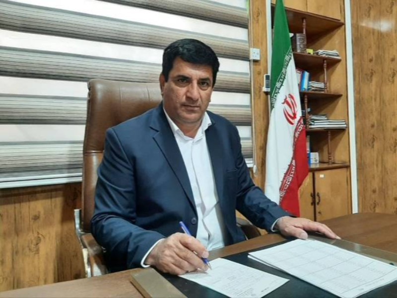 ۱۰۷ فقره مجوز حمل چوب در دهلران صادر شد