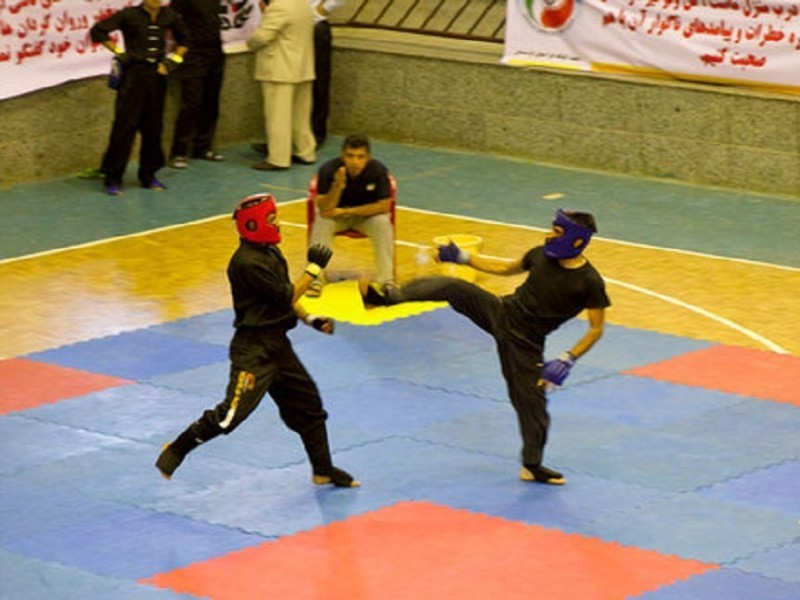 درخشش رزمی‌کاران ایلامی با ۳۷ مدال ملی و بین‌المللی