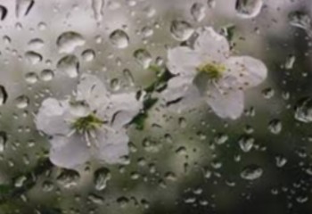 شعر کردی در وصف باران