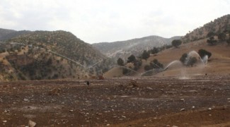 چشمه بی‌برکت دیروز، امروز امید کشاورزان ملکشاهی است