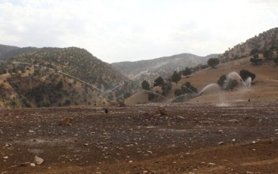 چشمه بی‌برکت دیروز، امروز امید کشاورزان ملکشاهی است