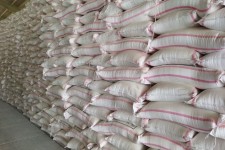 ۱۰ هزار تن کود اوره در دهلران توزیع شد