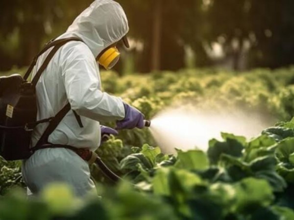 باقی‌مانده سموم در خاک خطر زیستی ایجاد می‌کند