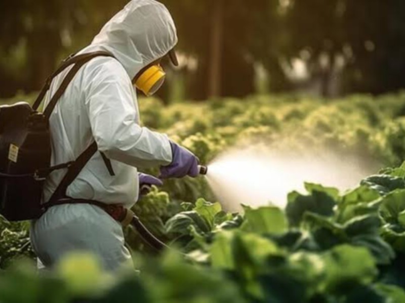 باقی‌مانده سموم در خاک خطر زیستی ایجاد می‌کند