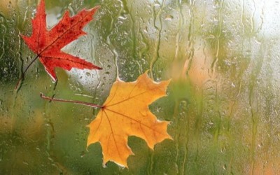 بارش باران، طراوت و زیبایی را به شهر ایلام داد