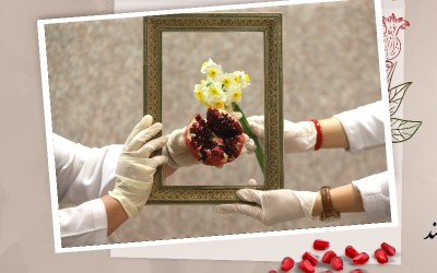 یلدا؛ شب خدمت بی‌حدومرز