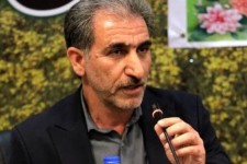 تخلفات بازار گوشت و مرغ با جدیت پیگیری می‌شود