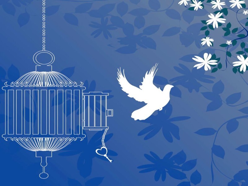 وصیت مادر، زمینه آزادی ۵ زندانی را فراهم کرد