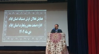 توسعه بازار صادراتی فرش ایلام از اولویت‌هاست