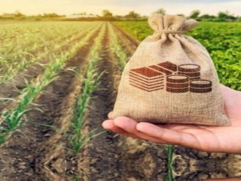 قصه خشکسالی و بیمه کشاورزی در ایلام