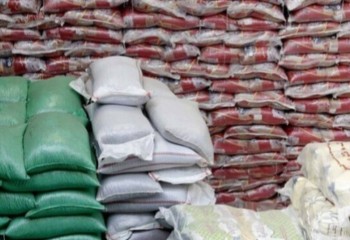 توزیع ۲۶.۵ تن برنج تنظیم بازاری در فروشگاه‌های ایلام