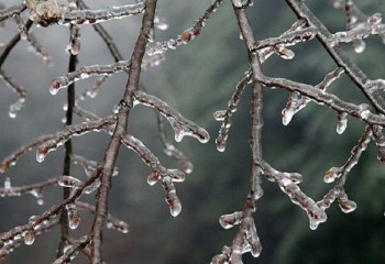 ایلام درگیر یخ‌بندان شدید می‌شود