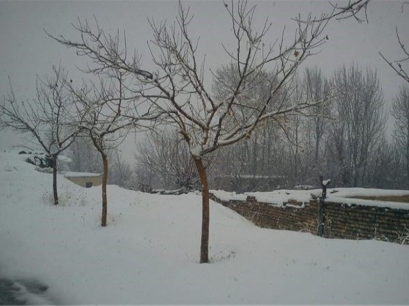 ثبت بیشترین بارندگی در شهرستان ایوان