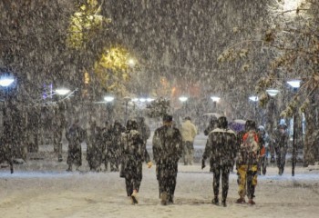 چهره زمستانی شهر ایلام در شب برفی