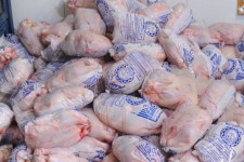 همشهریان ایلام برای خرید مرغ منجمد مراجعه کنند