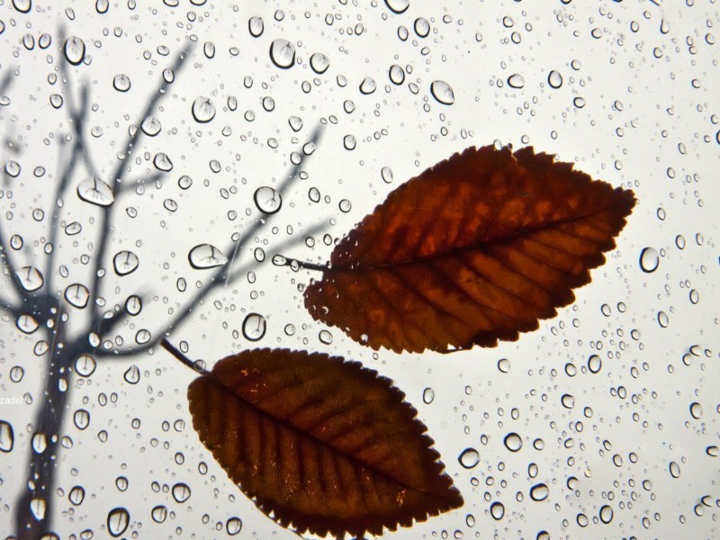 ایلام از سه‌شنبه بارانی می‌شود