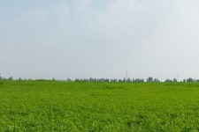 آموزش کشاورزان، کلید موفقیت در افزایش تولید است