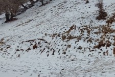 سامانه بارشی وارد ایلام می‌شود