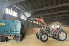 اعتبار نهاده‌های دامی در ایلام تأمین شد