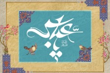 وقتی قمر به خانه علی (ع) طلوع کرد