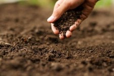 صیانت از اراضی، وظیفه ملی همه ذی‌نفعان است