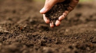 صیانت از اراضی، وظیفه ملی همه ذی‌نفعان است